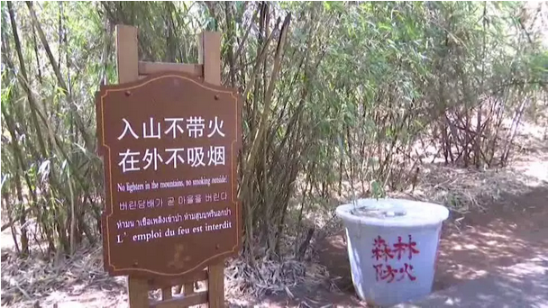 贊！雞足山景區(qū)連續(xù)35年無森林火災，因為他們...