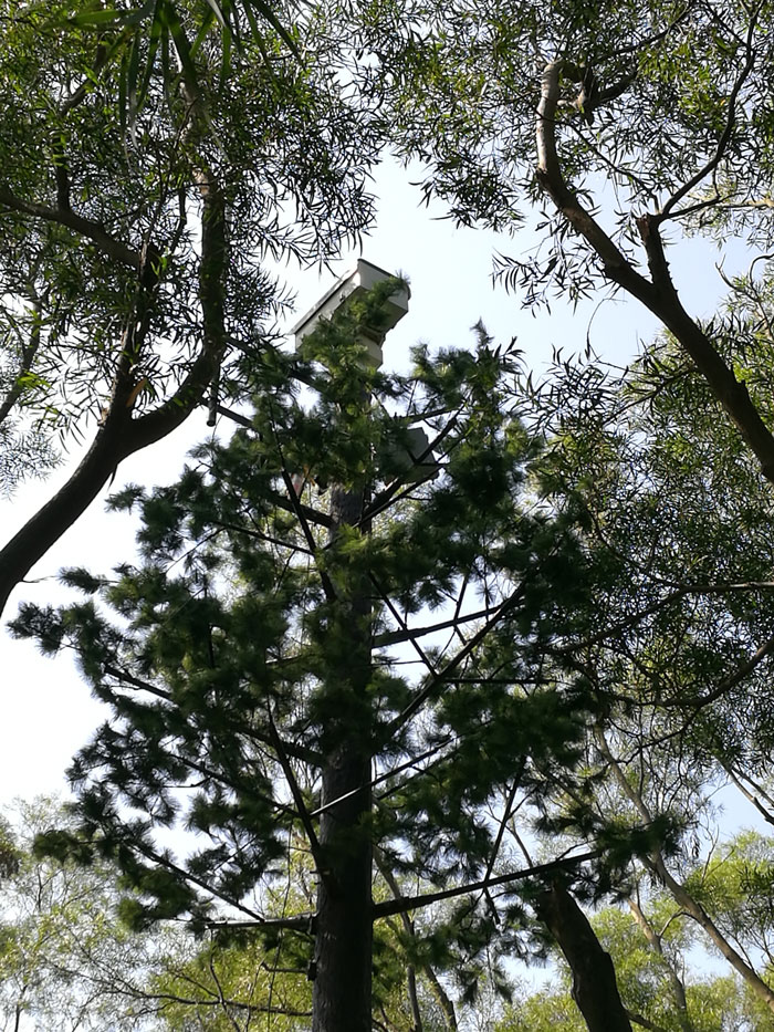 ?森林火災(zāi)風(fēng)險普查工作任重而道遠，華瑞通發(fā)揮行業(yè)優(yōu)勢